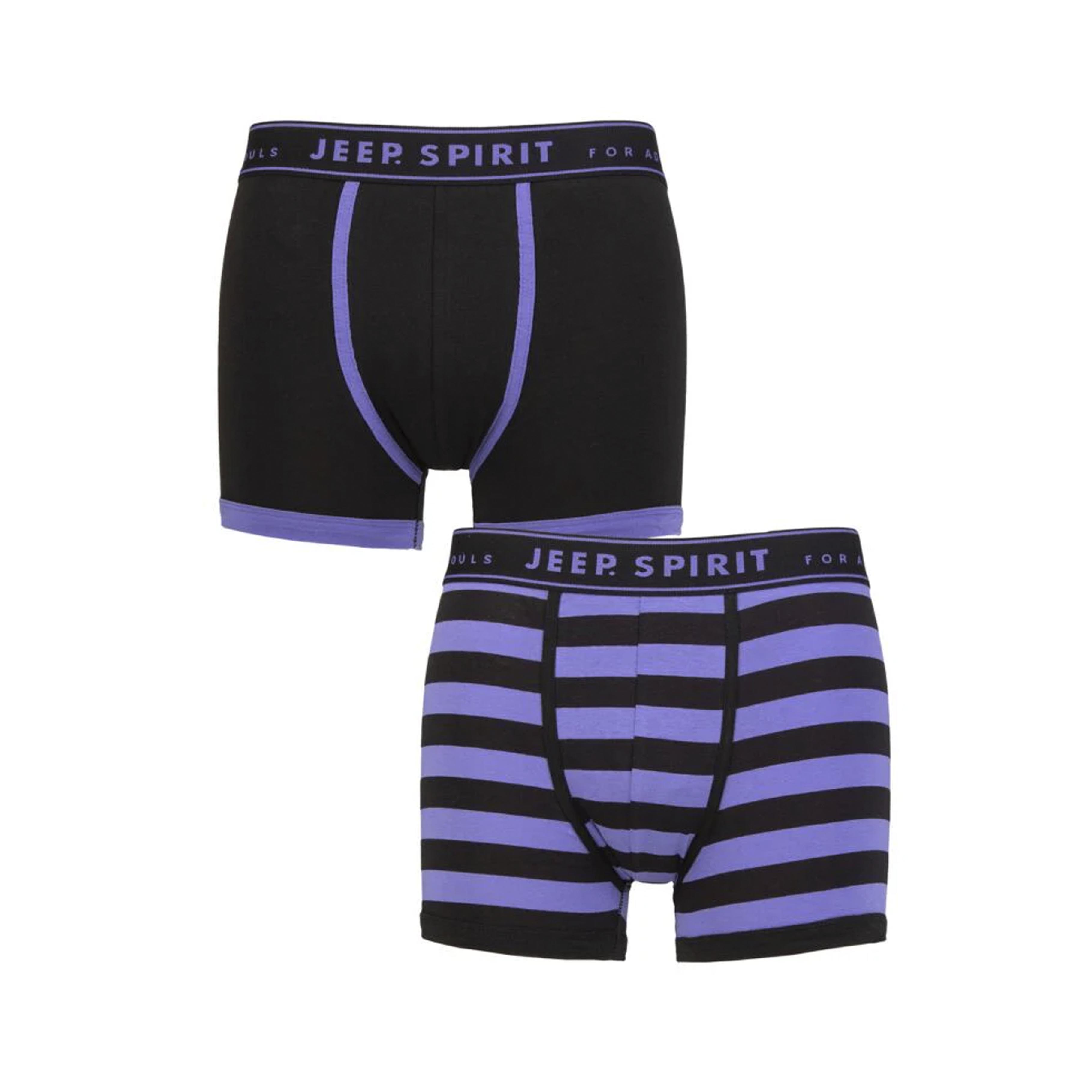 Men's 2 Pack Jeep Spirit Cotton Stripe And Plain Fitted Trunks