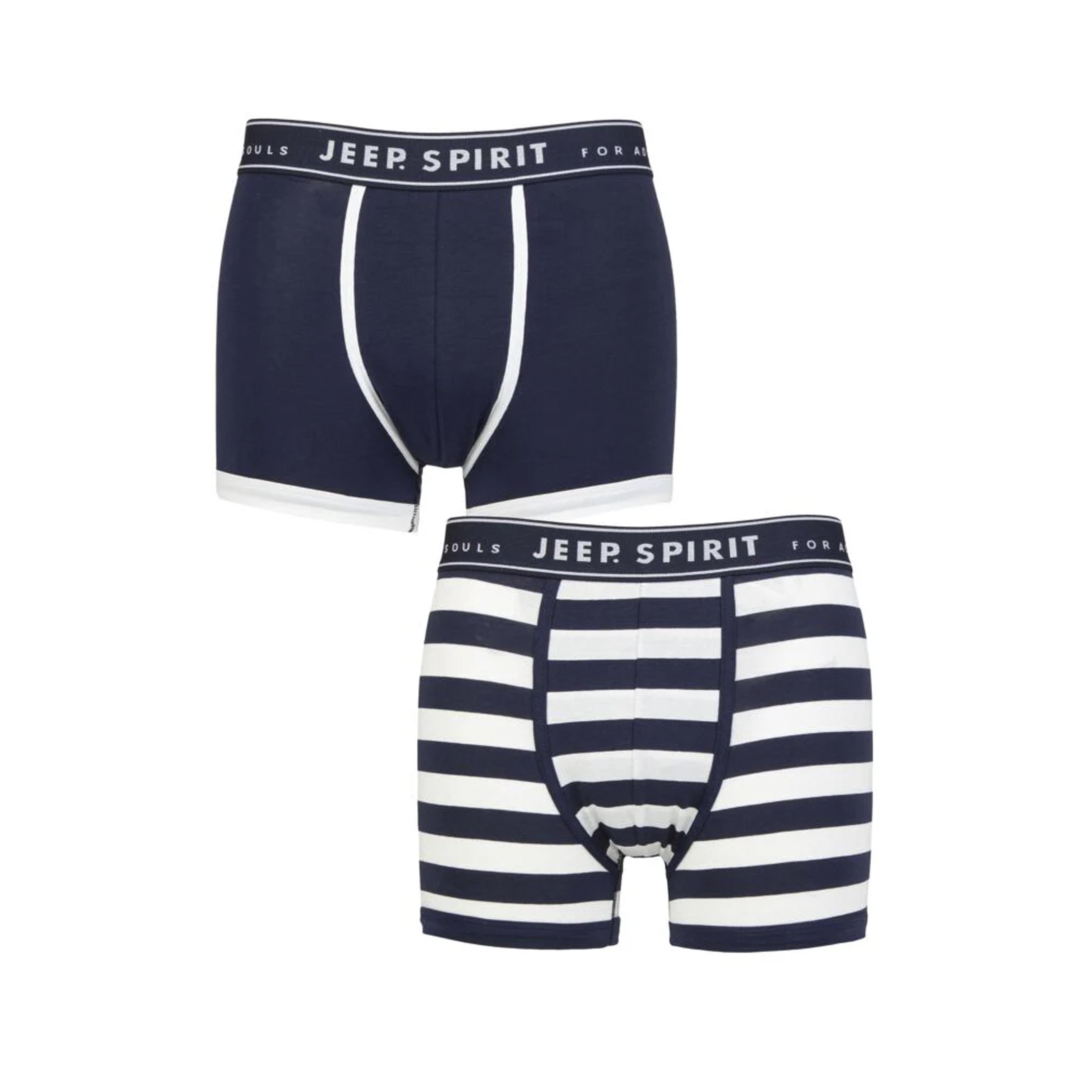 Men's 2 Pack Jeep Spirit Cotton Stripe And Plain Fitted Trunks